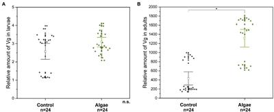 Fine-scale assessment of Chlorella syrup as a nutritional supplement for honey bee colonies